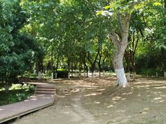 -太子山公园(园东路)