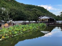 -荷塘味道(水长城店)
