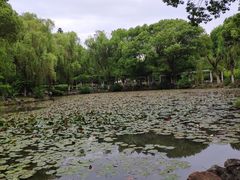-范蠡湖公园