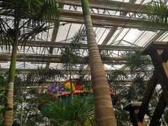 -南宫五洲植物乐园