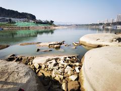 -金海湾滨江公园