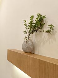 -FUMEIHUI·科技美肤·美体SPA