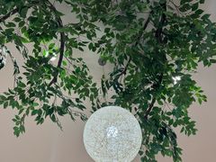 -红叶日料·放题·海胆·定食(星海店)