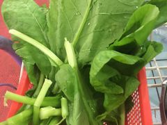 -钰洁腊排骨火锅