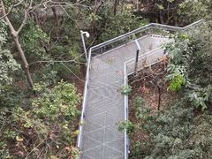 -佛山华盖山公园