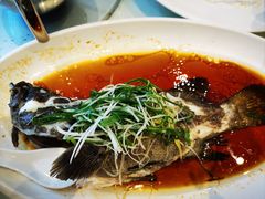 -大东海海鲜酒楼(渔人码头总店)