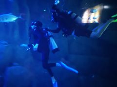 -成都浩海立方海洋公园