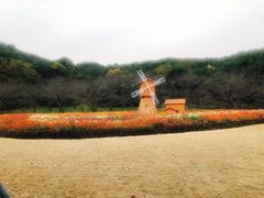 -苏州上方山国家森林公园