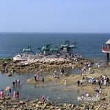 打卡✅抖音网红养马岛🌊🌊
