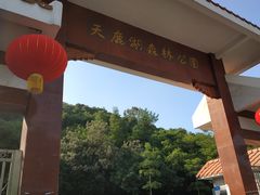 -天鹿湖森林公园