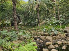 -深圳龙潭公园