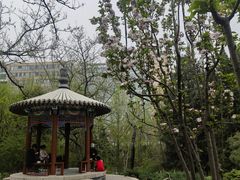 -宣武艺园