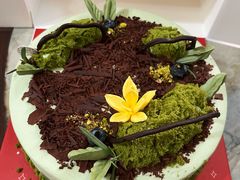 “自由生长”牛油果芒果椰香蛋糕-派悦坊·甜品·蛋糕(日坛店)