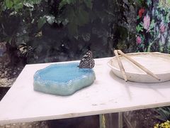 -上海大自然野生昆虫馆(东方明珠·爬宠昆虫探索中心)