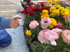 -同济大学(嘉定校区)