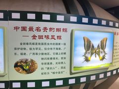 -上海昆虫博物馆