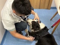 -博特宠物医院24h犬猫全科.骨科·异宠