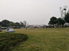 -两河城市森林公园