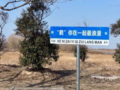 -盐城丹顶鹤湿地生态旅游区