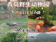 -青岛森林野生动物世界