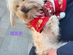 -PETKIT小佩宠物·低压洗护(国顺东路店)