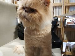 景观位-小时光咖啡馆(开森度假森林店)