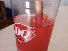 杨梅益菌多-DQ·蛋糕·冰淇淋(苏宁店)