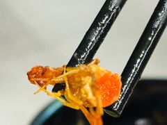 -阿巧茶庄