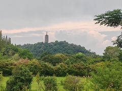 -焦山风景区