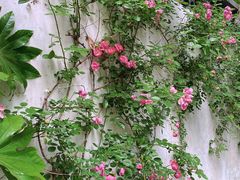 -杭州西湖柳莺里酒店·闻莺厅