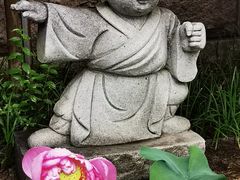 -江阴君山寺