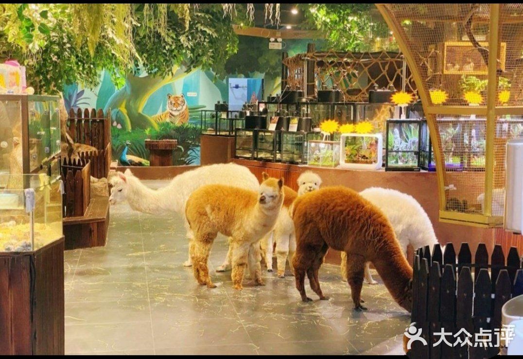 一起来撩小动物吧[亲亲]