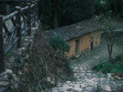 -杨家堂村