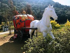 -广州市石门国家森林公园