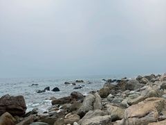 -西涌国际滨海旅游区