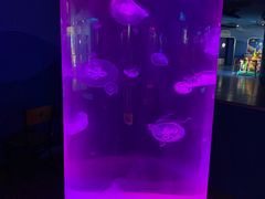 -苏州海洋馆