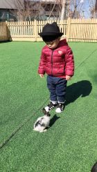 -萌宠亲子动物乐园(槐房万达店)