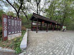 -句容茅山景区