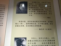 -武汉达临性学生命文化博物馆