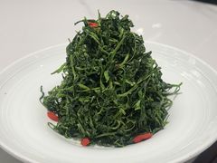 红果枸杞苗-清真·宁夏印象·盐池滩羊肉体验店(江宁路店)