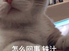 -马黑哥椒麻鸡(清江山水店)