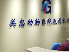 -瑞派·关忠动物医院(国瑞店)