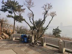 -青岛海滨风景区小鱼山
