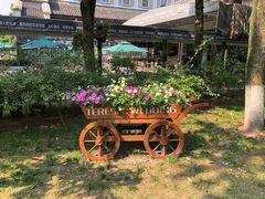 -重庆市江北嘴中央商务区中央公园