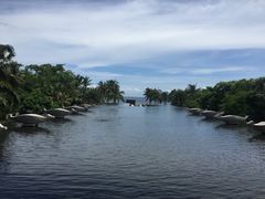 -亚龙湾喜来登·美景台大堂吧