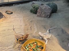 -朵云书院(滴水湖店)