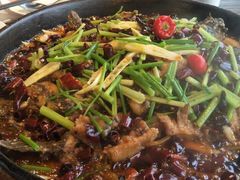 -老板恋上鱼(恒隆广场店)