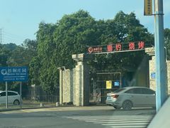 -梧桐庄园