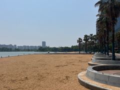 -金沙湖公园