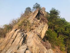 -南山植物园